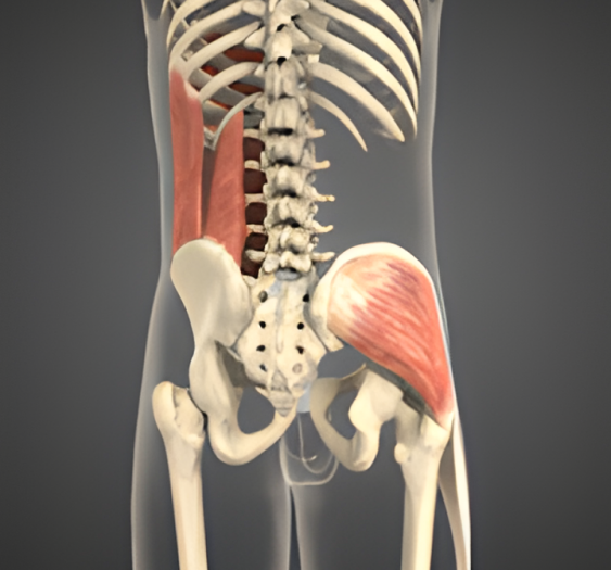 侧屈（三）Lateral flexion
