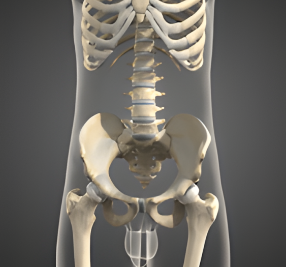 侧屈Lateral flexion