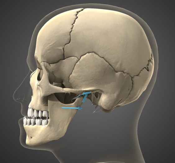 下颌后缩mandibular Retrusion