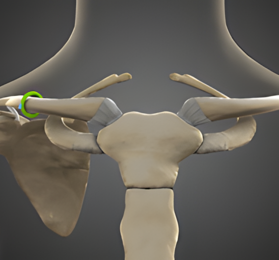 后旋Posterior rotation