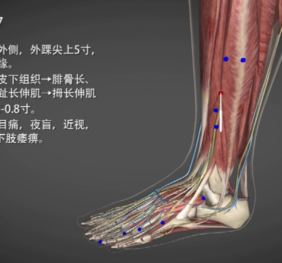 【光明】GB37 Guangming