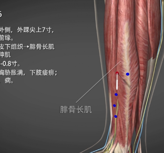【外丘】GB36