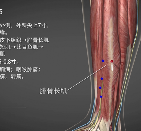 【阳交】GB35