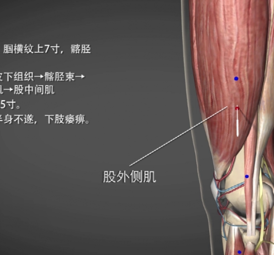 【中渎】GB32 Zhongdu