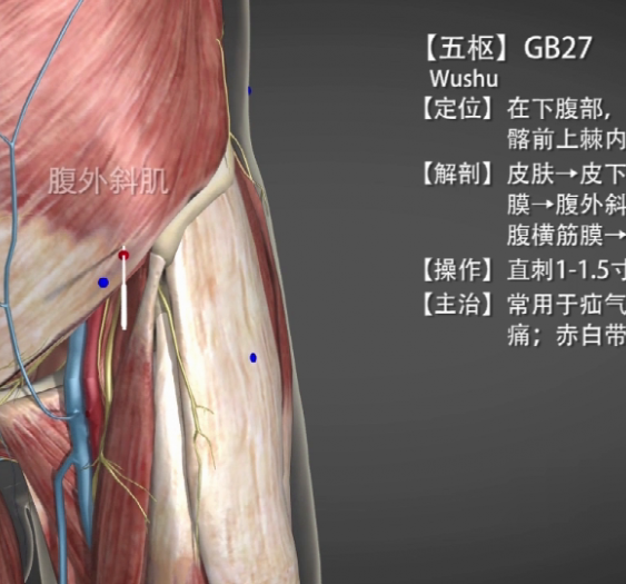 【五枢】GB27 Wushu