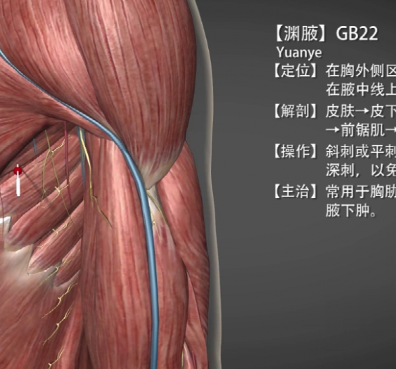 【渊腋】GB22 Yuanye