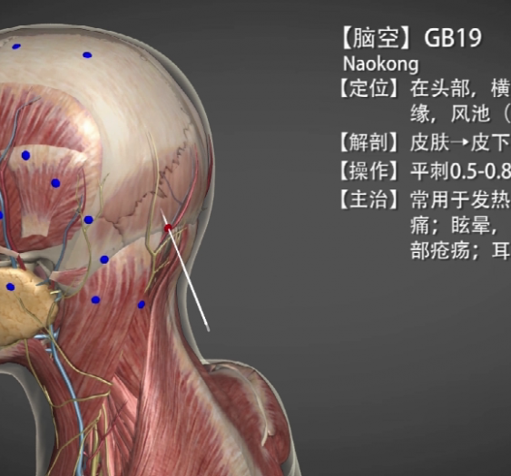 【脑空】GB19 Naokong