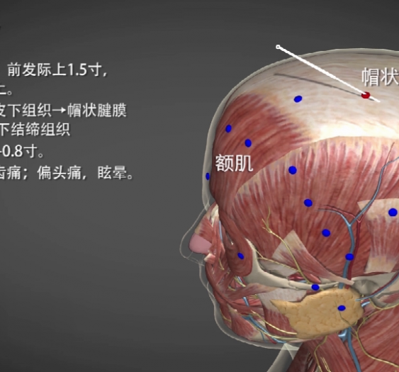 【正营】GB17 Zhengying