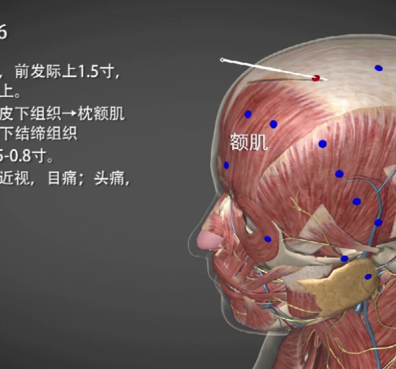 【目窗】GB16 Muchuang