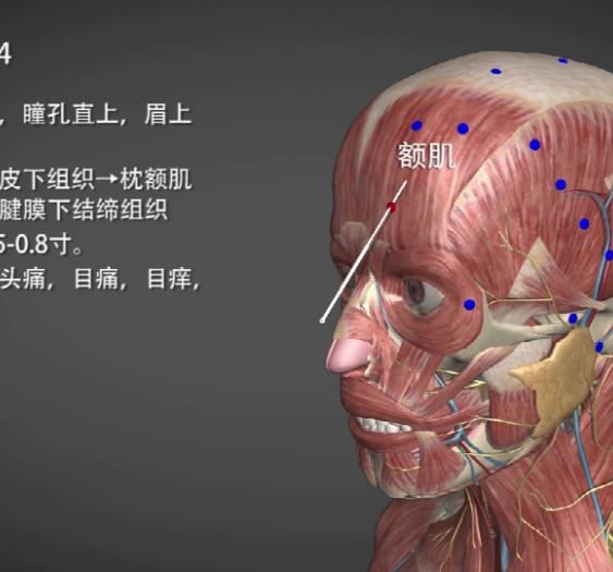 【阳白】GB14 Yangbai