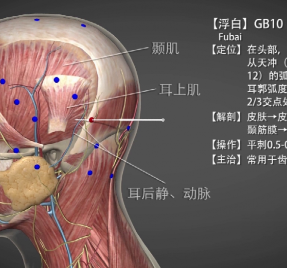 【浮白】GB10 Fubai