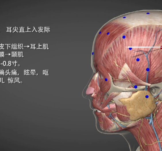 【率谷】GB8 Shuaigu
