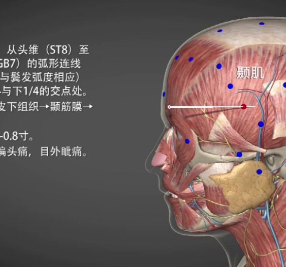 【悬厘】GB6 Xuanli