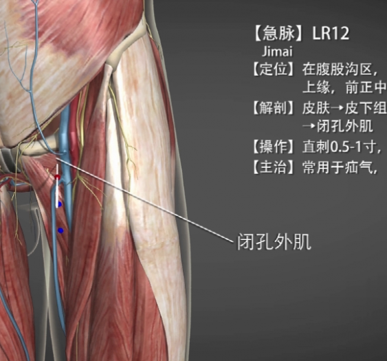 【急脉】LR12 Jimai