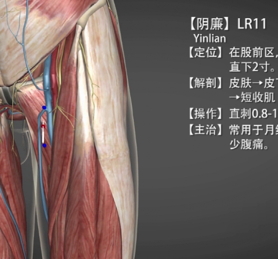 【阴亷】LR11 Yinlian