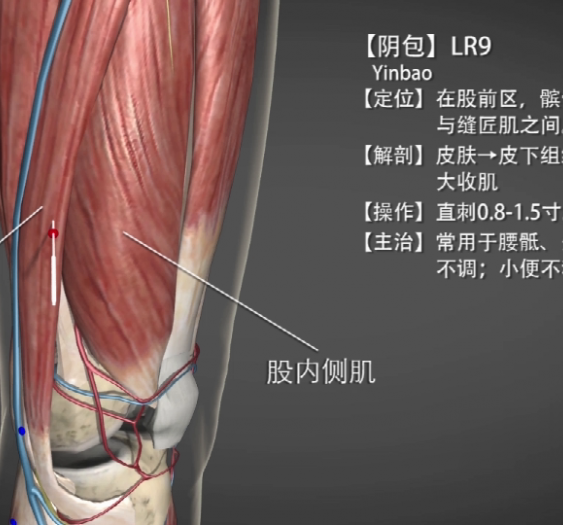 【阴包】LR9 Yinbao