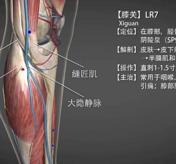 【膝关】LR7 Xiguan
