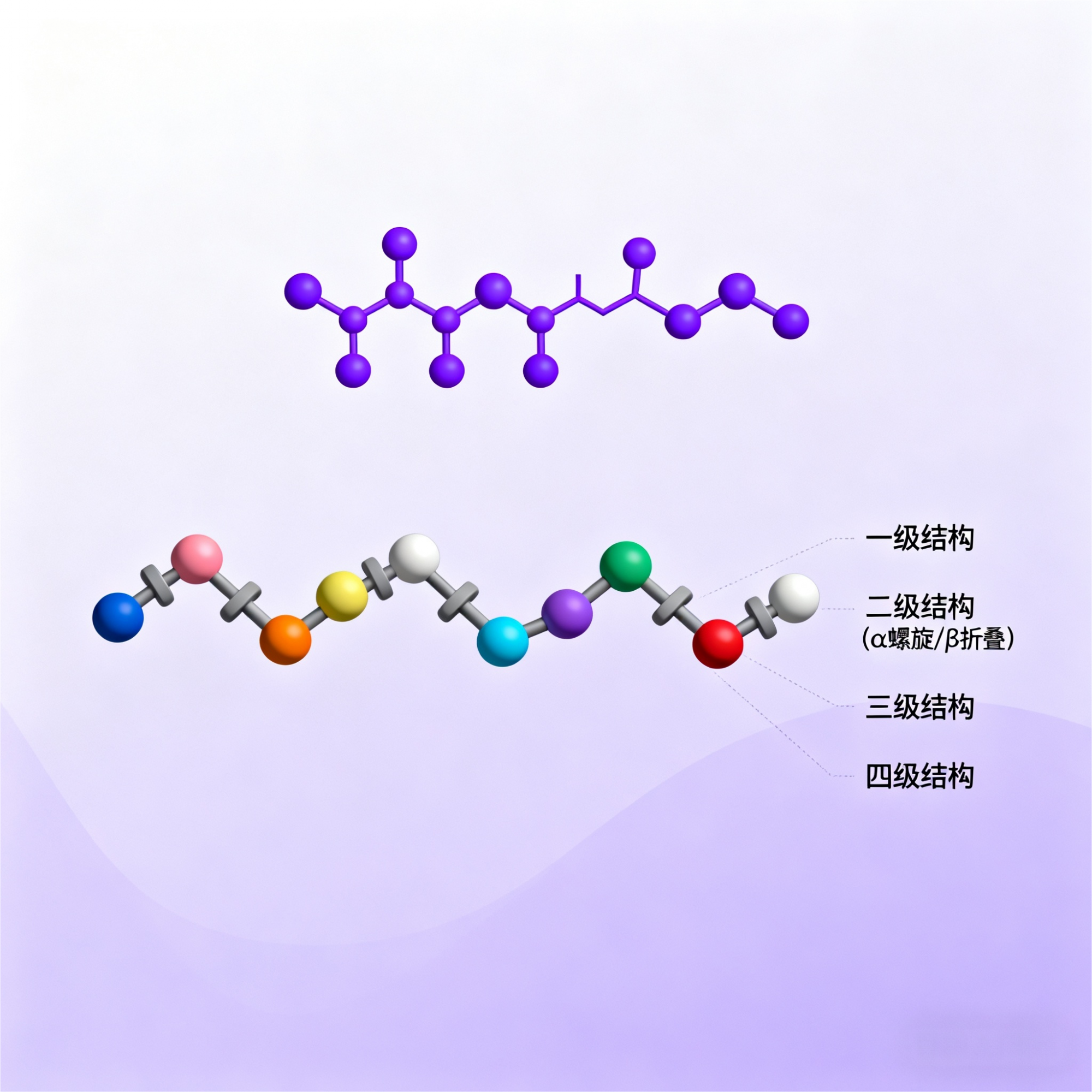 生物化学单元知识点